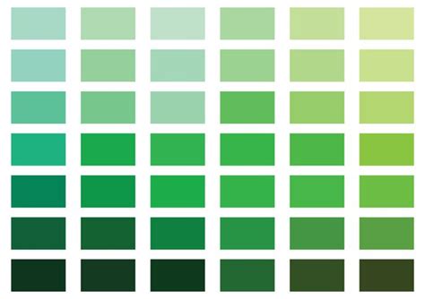 green color palette - Google Search | Green colour palette, Monochromatic color scheme ...