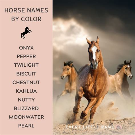 350+ Best Horse Names - Every Little Name