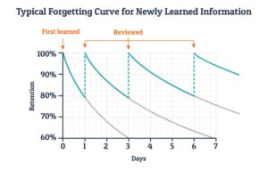 What is the Ebbinghaus forgetting curve?