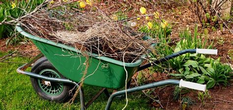 Spring yard clean up tips | HireRush Blog