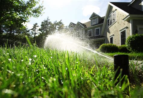 thirsty-turf-irrigation - Timberline Landscaping