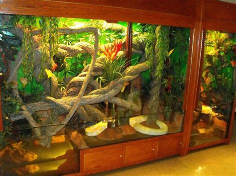 Pin by Angelina Ornelas on snakes (With images) | Reptile tank, Bearded dragon, Reptile room