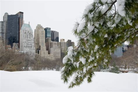 Snowy New York City Skyline Stock Photo - Image of pine, freeze: 12467336