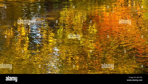 USA, Idaho, City of Boise,Tree lined fall colors reflectng in the Boise River. Boise River ...