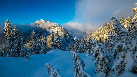 HD wallpaper: winter, north shore mountains, canada, snow, vancouver, snowy | Wallpaper Flare