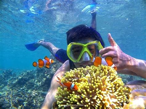 Blue Lagoon Snorkeling Adventure