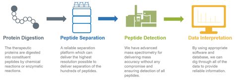 Peptide Mapping Service - Creative Proteomics