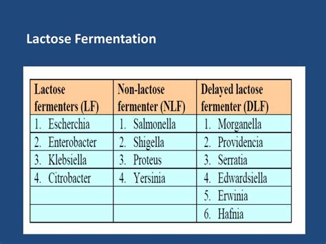 PPT - Diagnostic microbiology lecture: 1 Enterobacteriaceae Abed ...