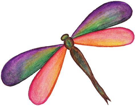 Dragonfly PNG HD PNG, SVG Clip art for Web - Download Clip Art, PNG Icon Arts