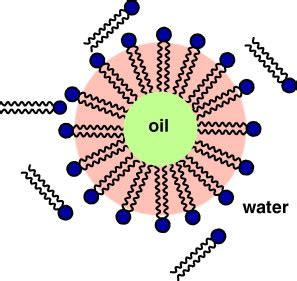 Microemulsion method: A novel route to synthesize organic and inorganic nanomaterials. 1st Nano ...