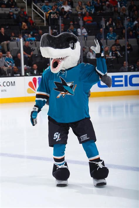 SJ Sharkie | Mascot Wiki | Fandom