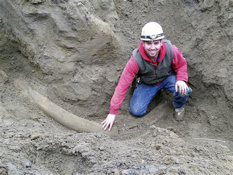 Make It A Grande: Mammoth Tusk Find Likely Seattle's Largest : The Two-Way : NPR