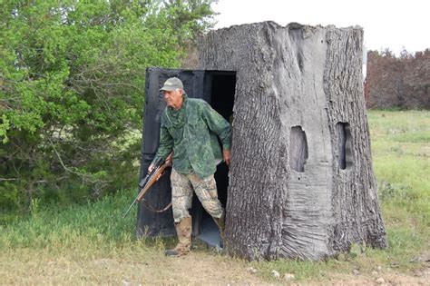 Nature Blinds Imitate a Tree Stump, Stump Unsuspecting Game Animals ...