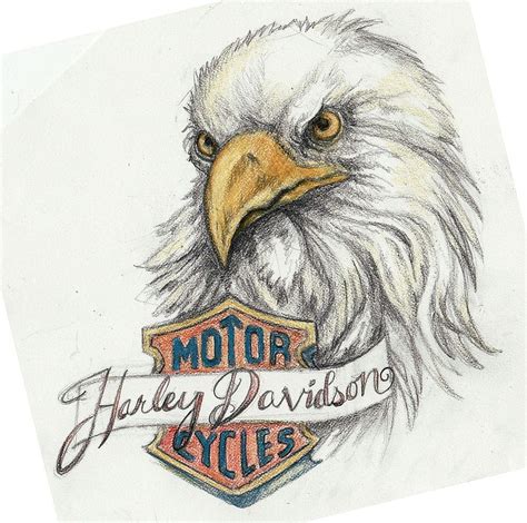 Harley eagle tattoo art. Hero, Harley-Davidson Eagle HD wallpaper | Pxfuel