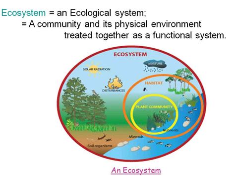 Environment Diagrams Nested Functions Nested Pow Defined Mul