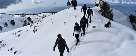 Dalhousie Snow Trekking | Compass Holidays & Adventure