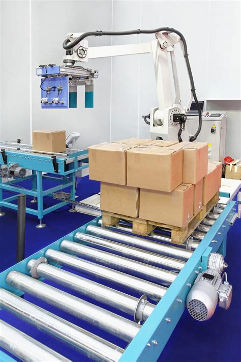 Robotic palletizer Defined for Industry Professionals | Hermary