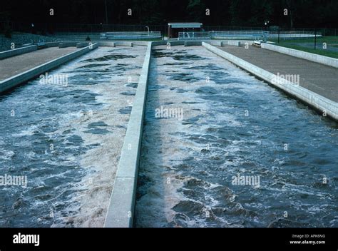 Activated sludge secondary treatment system at a sewage treatment plant Stock Photo - Alamy