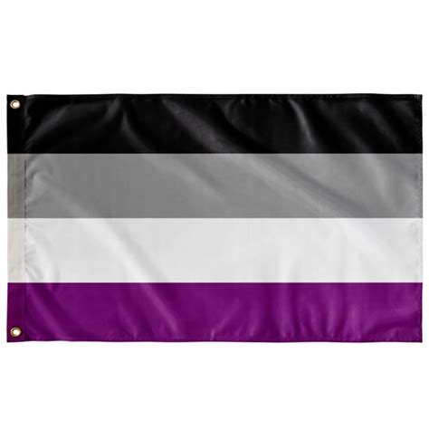 Asexual Pride Flag Ace Pride Indoor or Outdoor Flag | Etsy