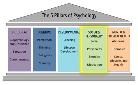 The Social and Personality Psychology Domain | Introduction to Psychology