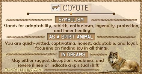 Coyote meaning and symbolism, coyote as a spirit animal, what does it ...