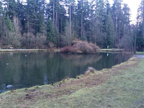 Central Park in winter, Burnaby BC | Scenic views, Scenic, Natural landmarks