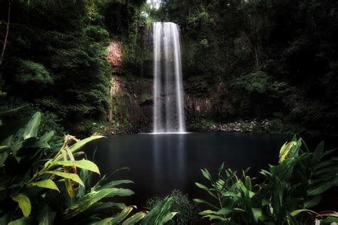 Atherton Tablelands Waterfalls - The 10 BEST Cascades to See (2024 Guide)