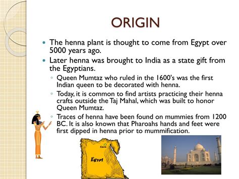 PPT - HENNA HISTORY PowerPoint Presentation, free download - ID:2356393