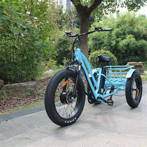 Big Size Electric Motorized 3 Wheel Bicycle with Rear Basket - China ...