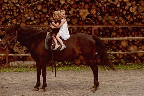 Horse therapy Images - Search Images on Everypixel