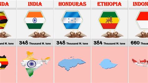 Coffee Production by country | List of countries by coffee production - YouTube