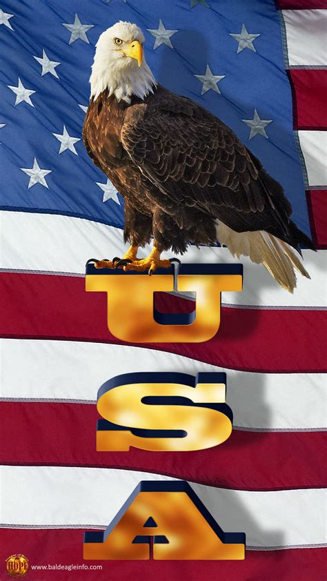 American Flag With Eagle Wallpaper (70+ images)