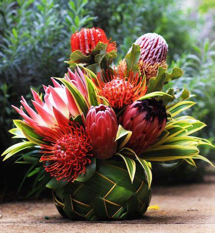 Luna Protea Arrangement in Coconut Frond Basket | Tropical flower arrangements, Tropical floral ...