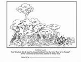 Free Amazon Rainforest Coloring Pages sketch template