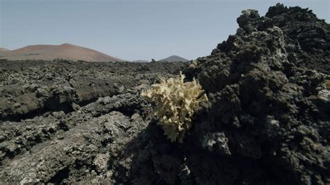 Volcanic landscape of Timanfaya National Park 28679673 Stock Video at ...