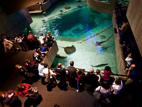 50 photos of National Aquarium in Baltimore | BOOMSbeat