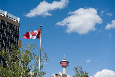 An Overview of The Western Union Calgary - Steveunic