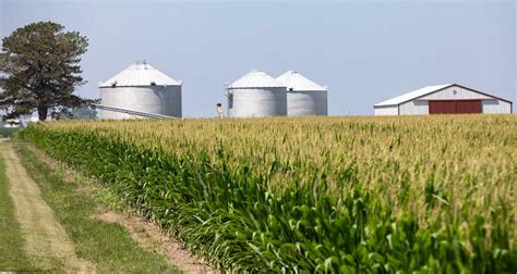 Farmland values see huge hike in Illinois