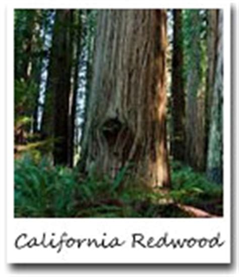 California State Facts - information, symbols, facts, records