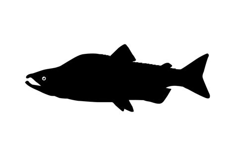 Salmon Fish Silhouette for Icon, Symbol, Logo, Pictogram, Apps, Website or Graphic Design ...