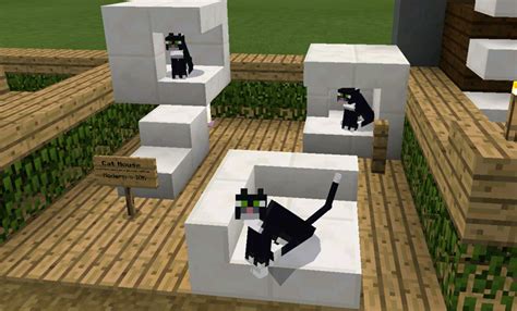 minecraft cat house - Google Search in 2020 | Outdoor decor, Minecraft cat, House