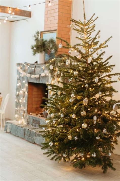 30 Christmas Fireplace Decor Ideas - Shannon Torrens