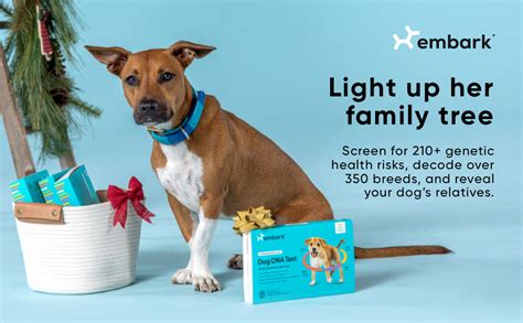 Amazon.com: Embark | Dog DNA Test | Breed & Health Kit | Breed ...