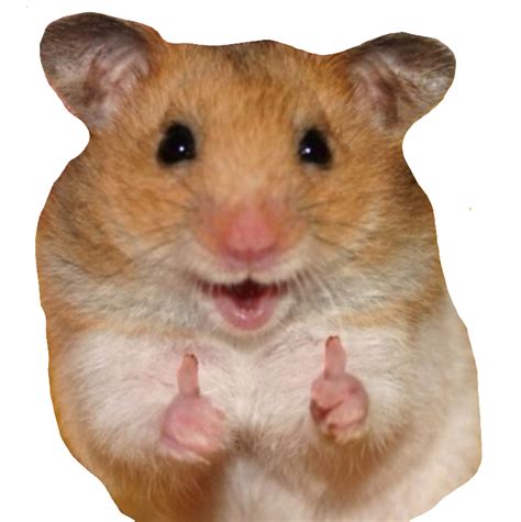 #freetoedit#likerhamster #hamster #like #nine #meme #remixit | Meme stickers, Cute stickers ...