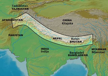 Indian Rhinoceros | Facts, Habitat & Behavior | Study.com