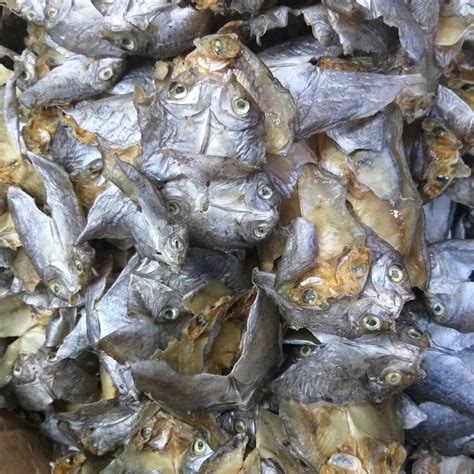 Salted Dried Rabbit Fish [Danggit] from Cebu - order price / 100 grams – Farm2Metro