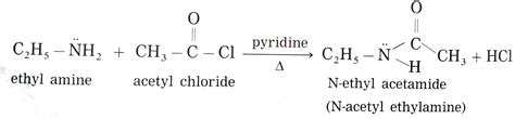 Write a short note on acylation of amines.