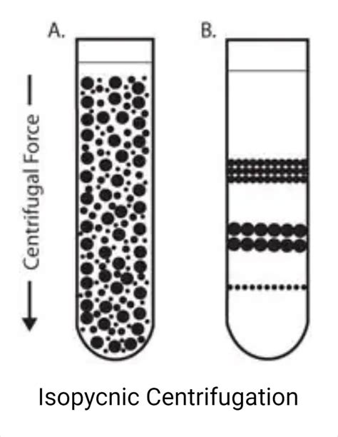 Centrifuge- Principle, Parts, Types, Uses, Examples