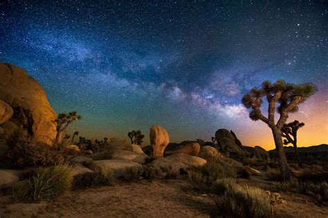 A Night in Joshua Tree | California national parks, Joshua tree ...