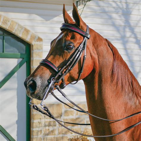 Pinnacle English Show Bridle in English at Schneider Saddlery